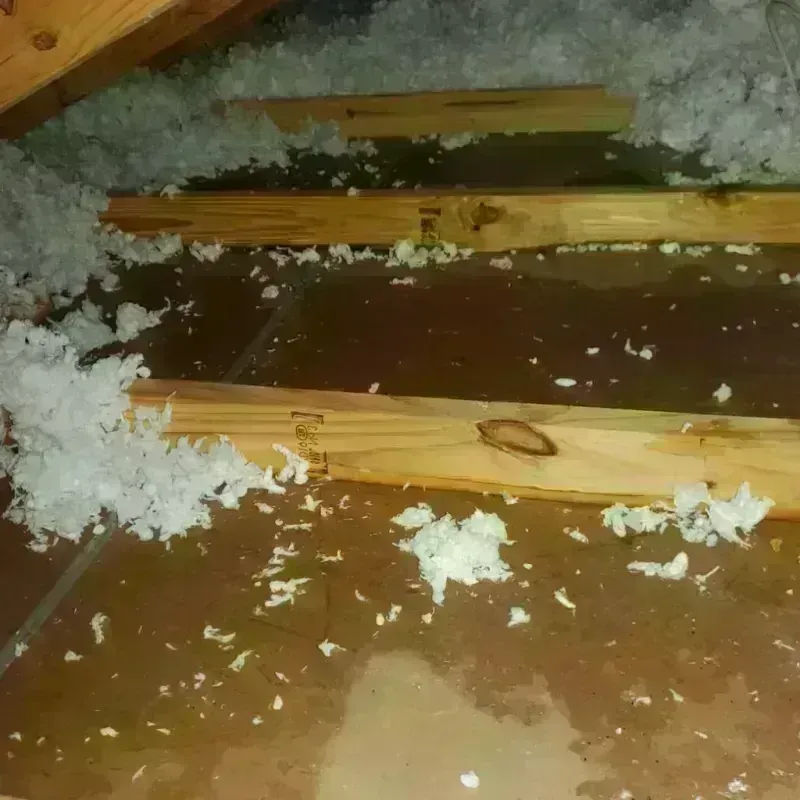 Attic Water Damage in Sausalito, CA